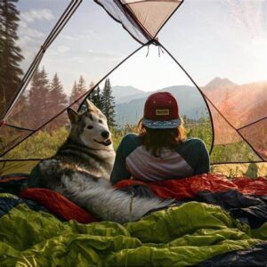 Camping With A Dog - How Vacations Can Be Suitable For Both