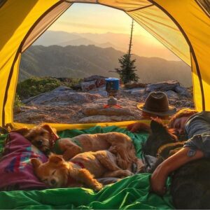 Camping With A Dog - How Vacations Can Be Suitable For Both